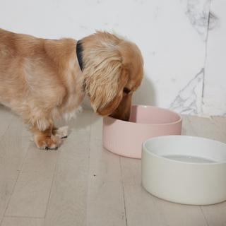 Signature Dog Bowl