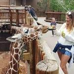 Cheyenne Mountain Zoo