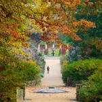 Sarah P. Duke Gardens
