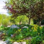 Yampa River Botanic Park