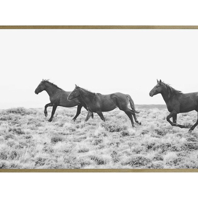 American Wild Horses By Jennifer Meyers, 42 x 28, Wood Gallery, Graywash, No Mat