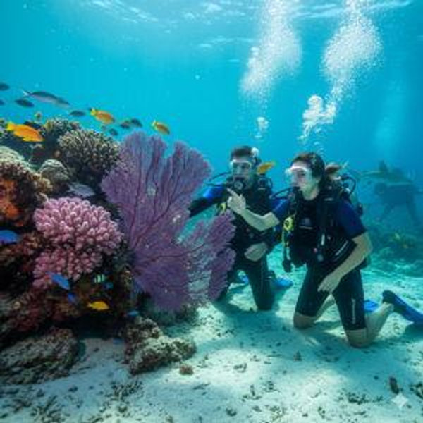 Beginners Scuba Diving Lesson for 2; Honolulu, Hawaii