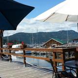 Seahorses Cafe