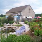 Sarah's Vineyard