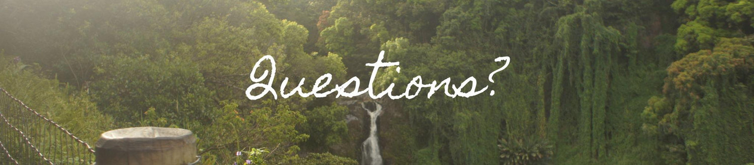 The Wedding Website of Geralene Villaverde and Cody Carson
