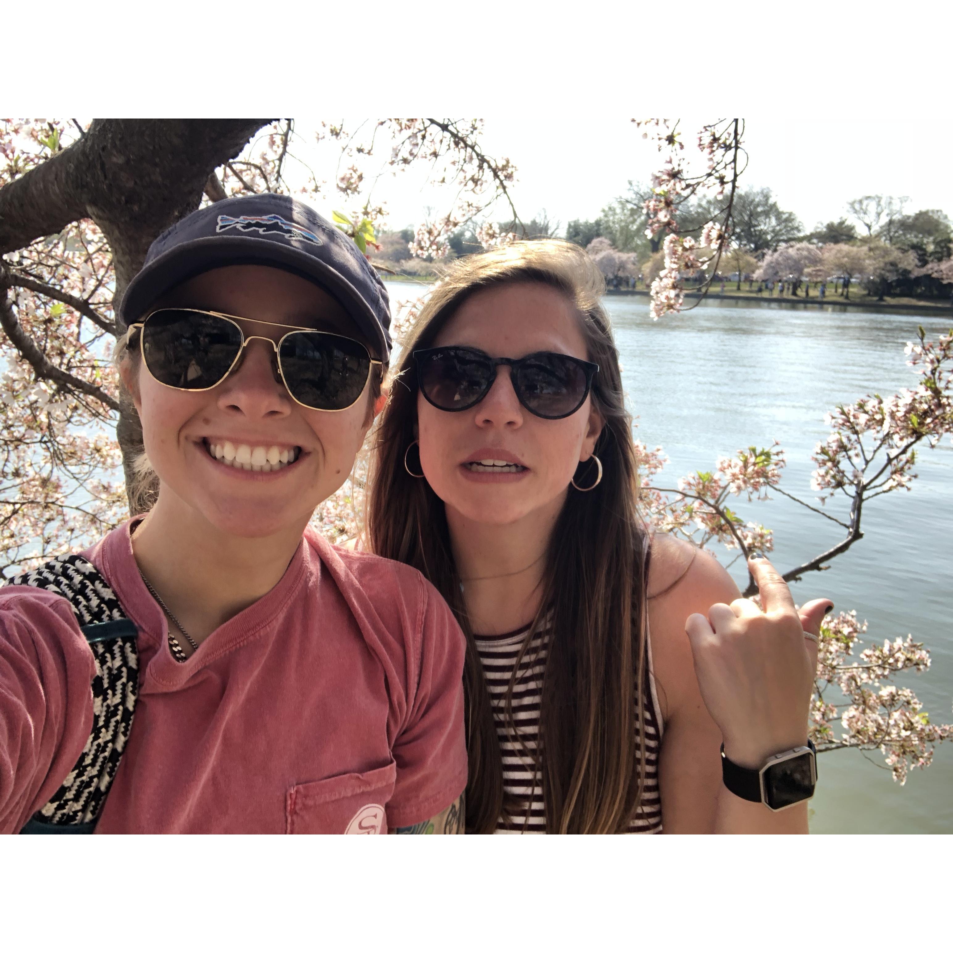 Explaining the importance of getting the cherry blossoms in the pic