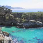 Point Lobos State Natural Reserve