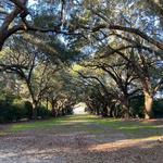 Charles Towne Landing State Historic Site