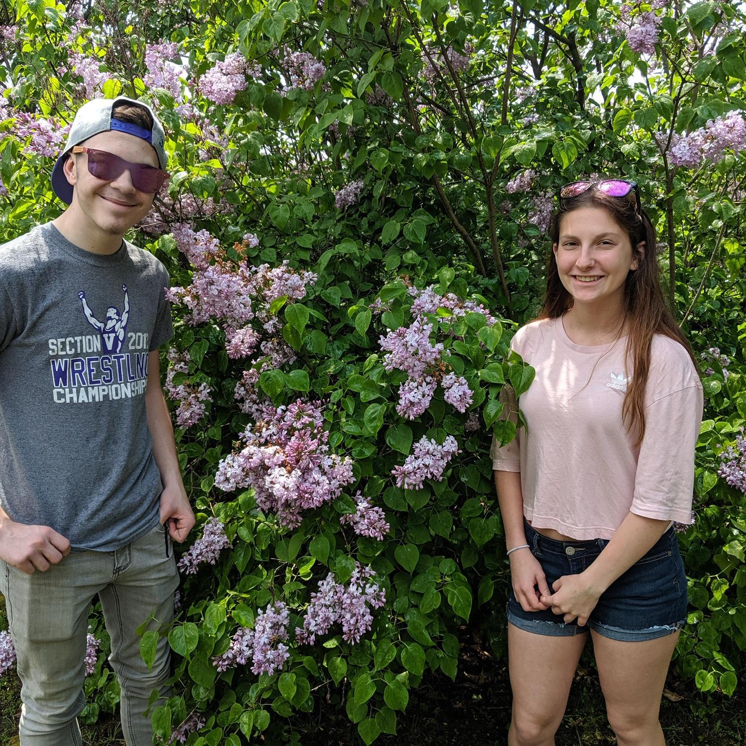 Lilac festival!