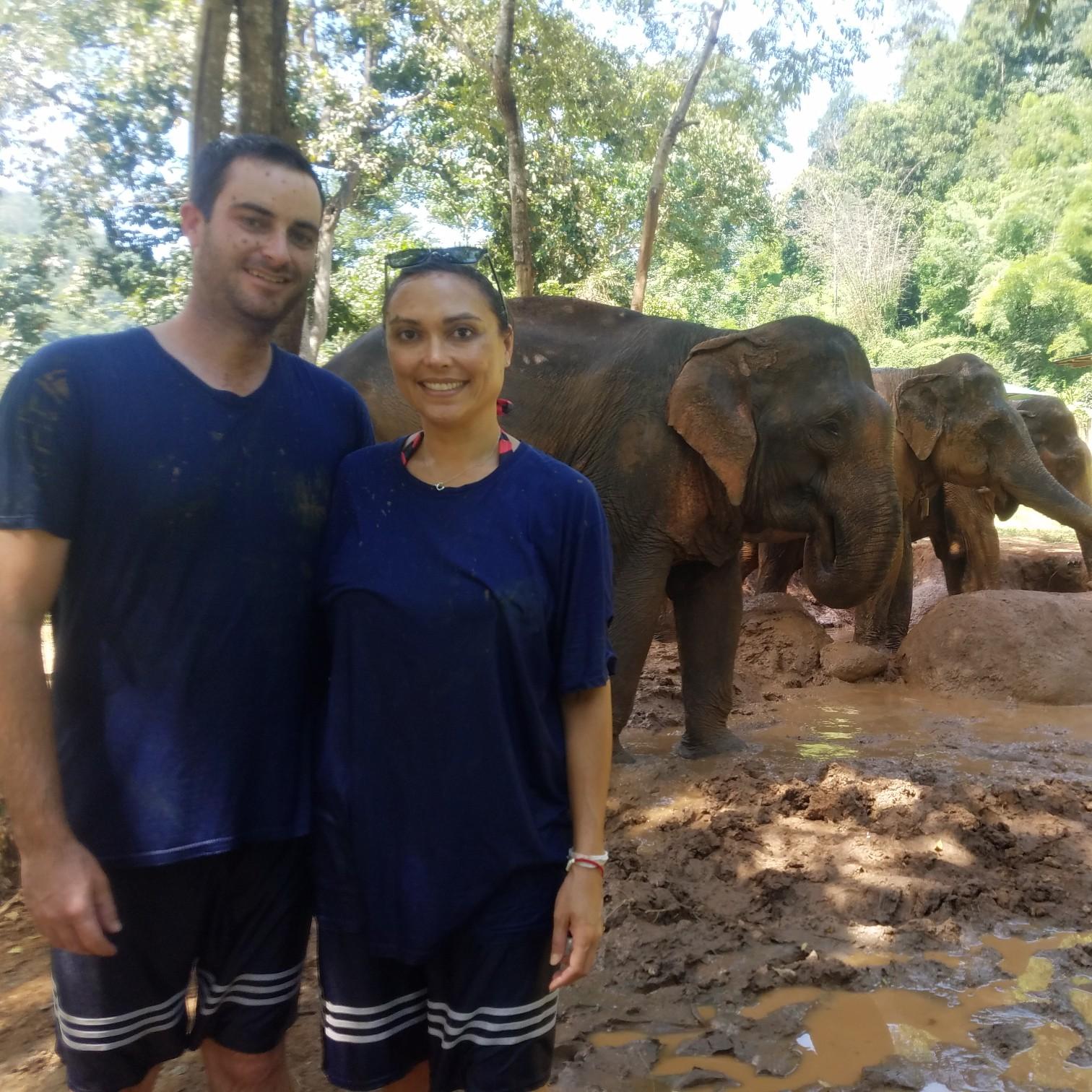 Bathing elephants in Chiang Mai