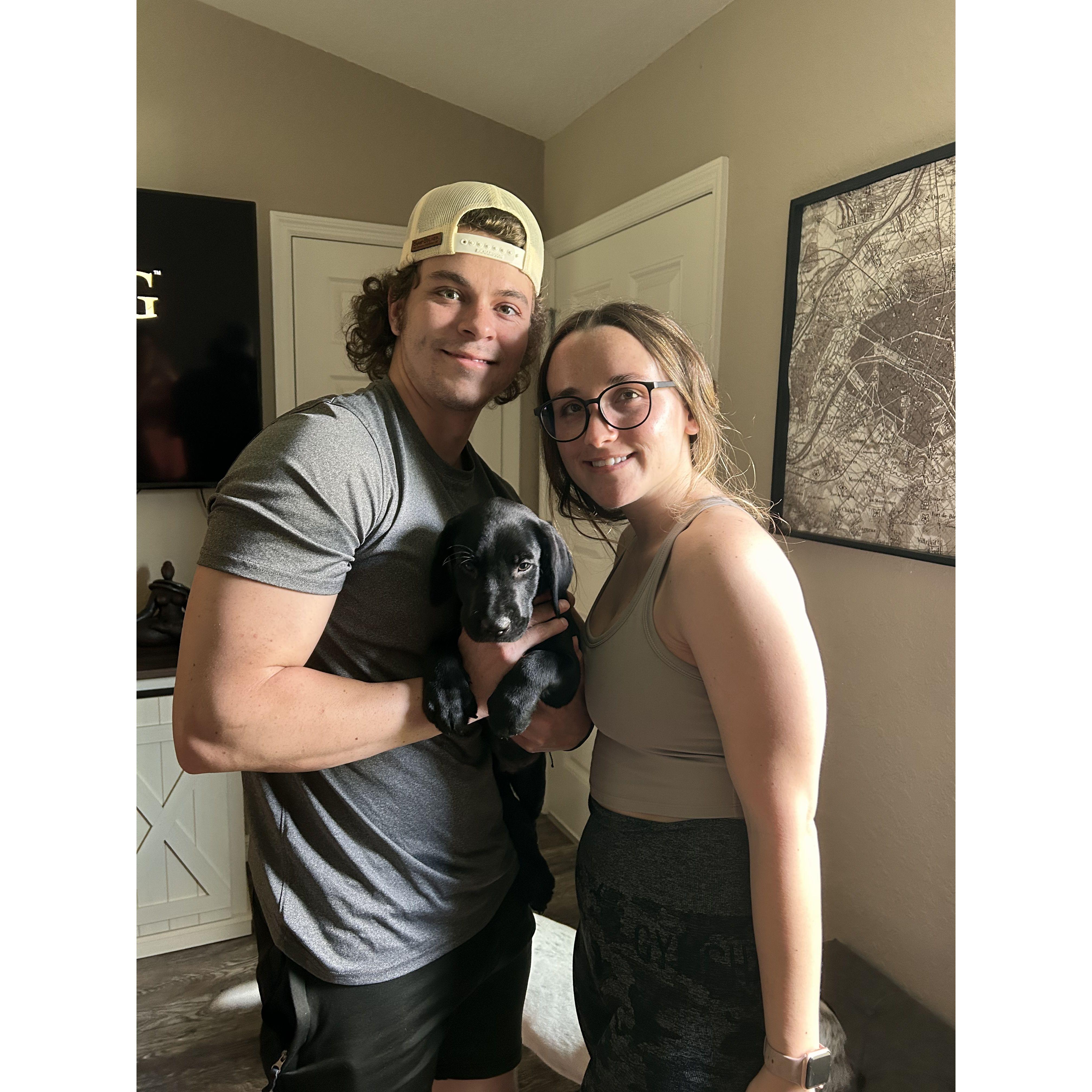 When we brought Luka home!