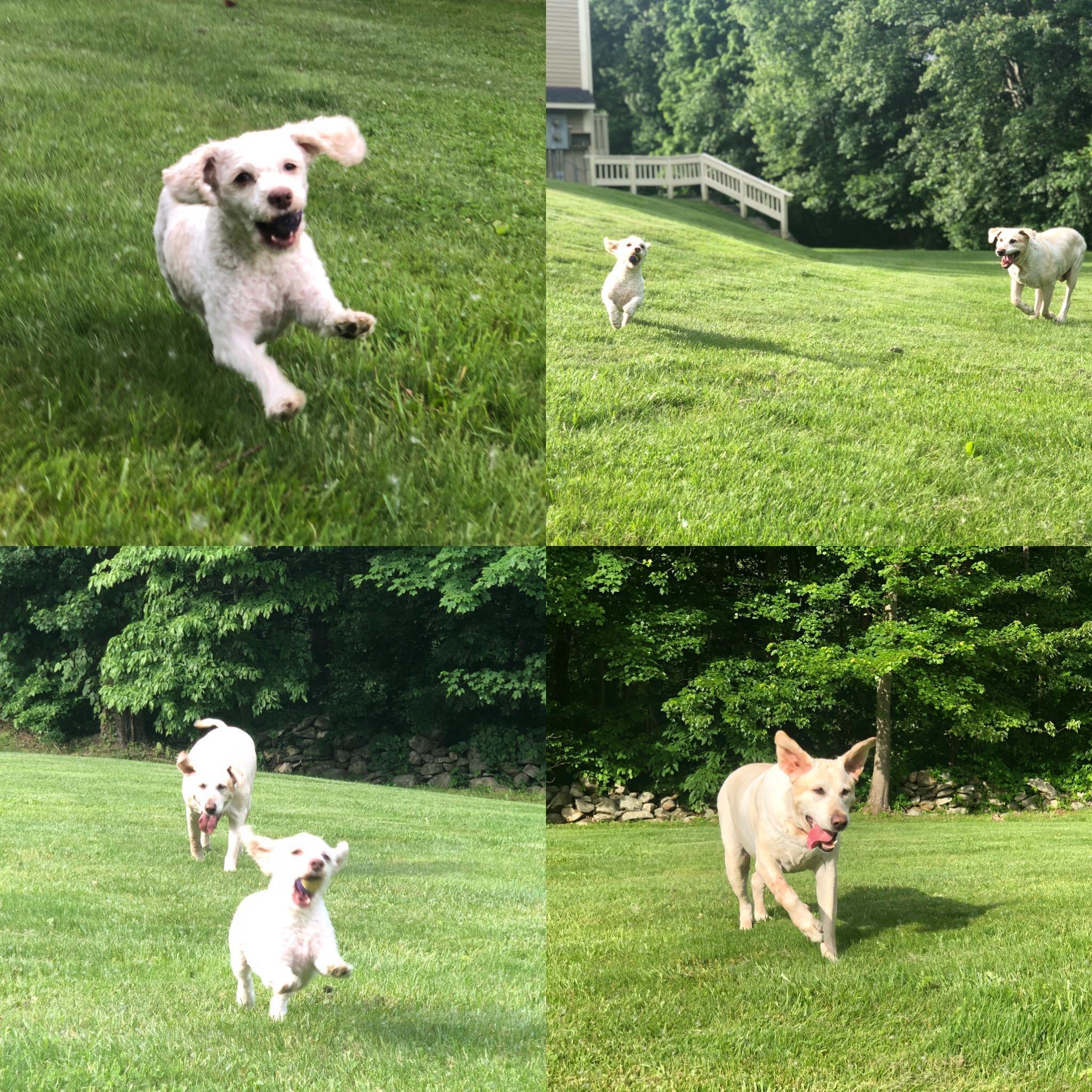 Our girls.