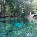 Ginnie Springs