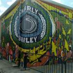 Gnarly Barley Brewing