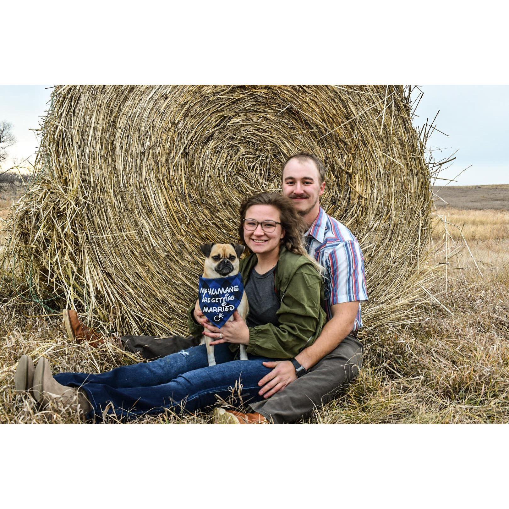 Engagement photos 💙