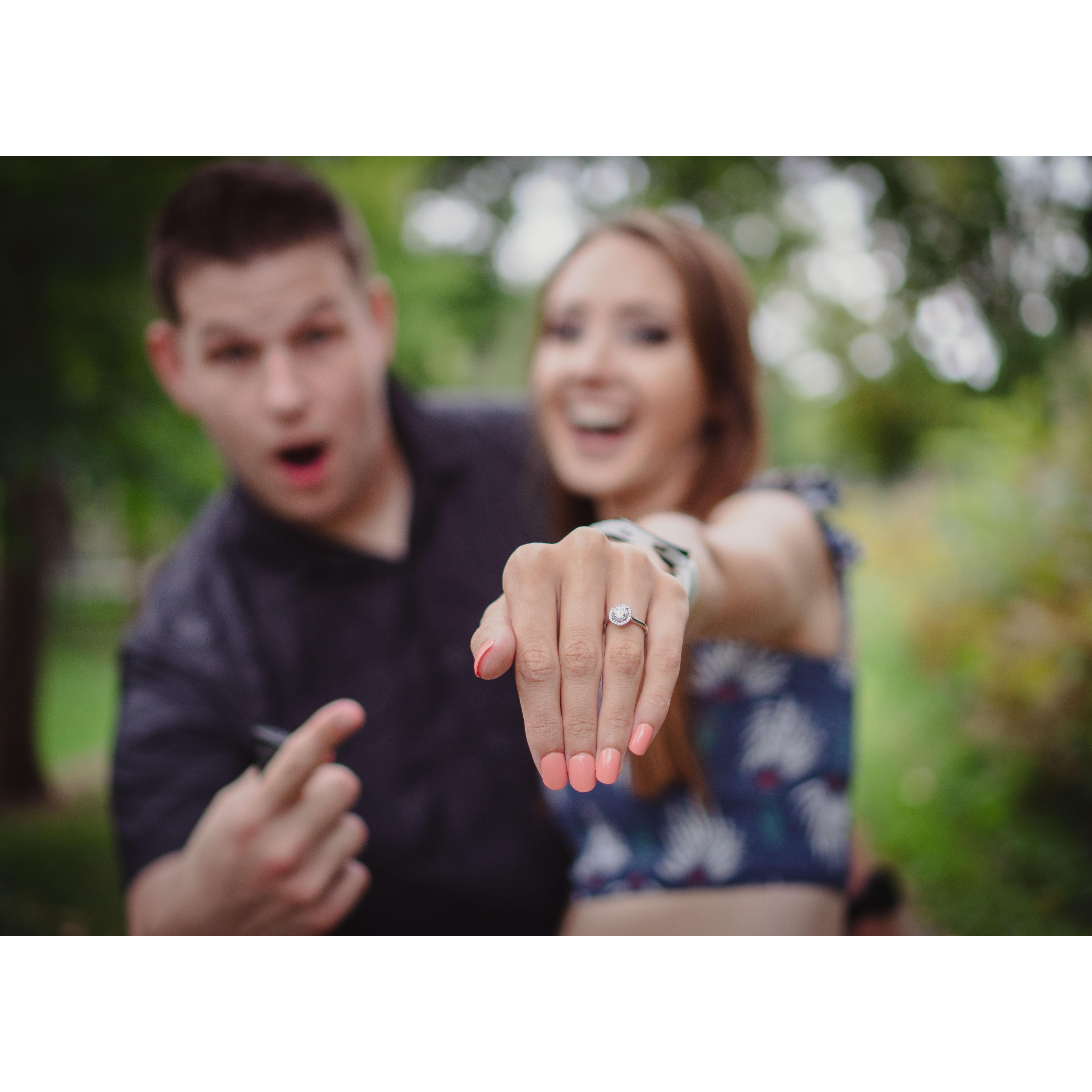 Engagement Photos in Settlers Park (Mequon/Thiensville, WI)