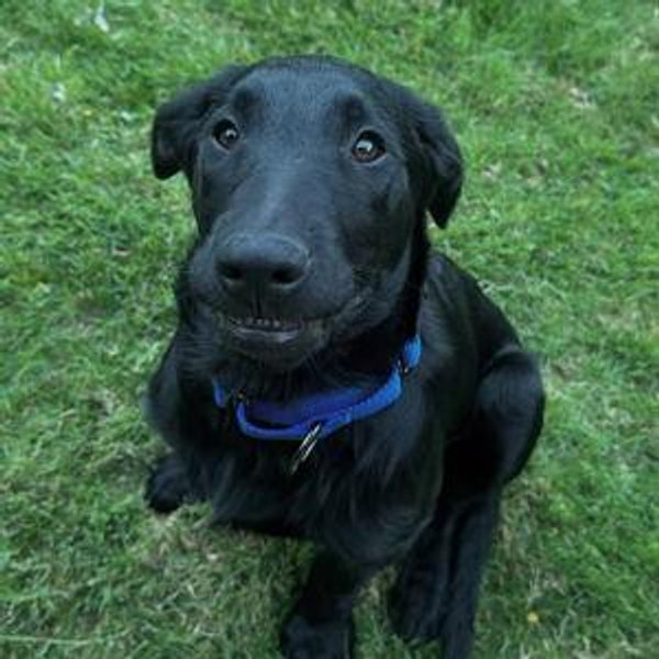 Binx Fund
