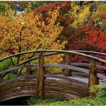 Fort Worth Botanic Gardens