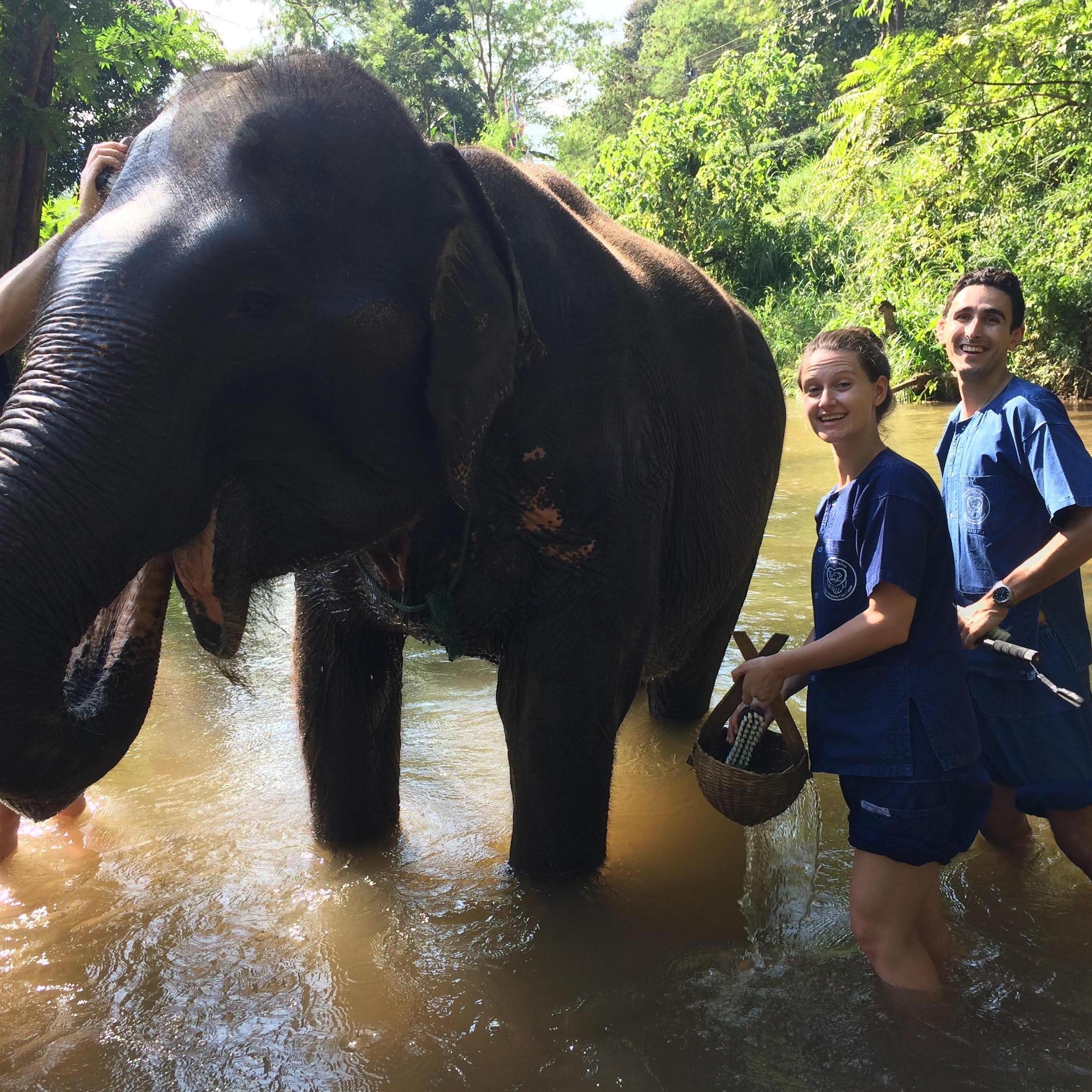 Chiang Mai, Thailand
2018