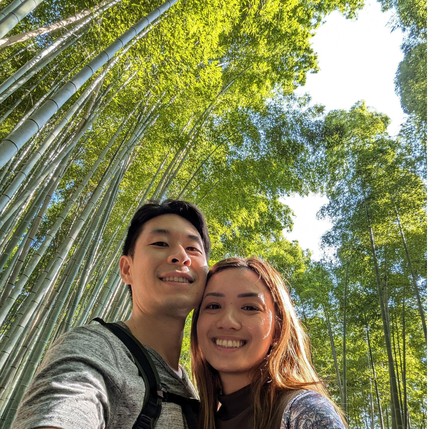 Arashiyama Bamboo Forest