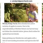 Windy Ridge Orchard