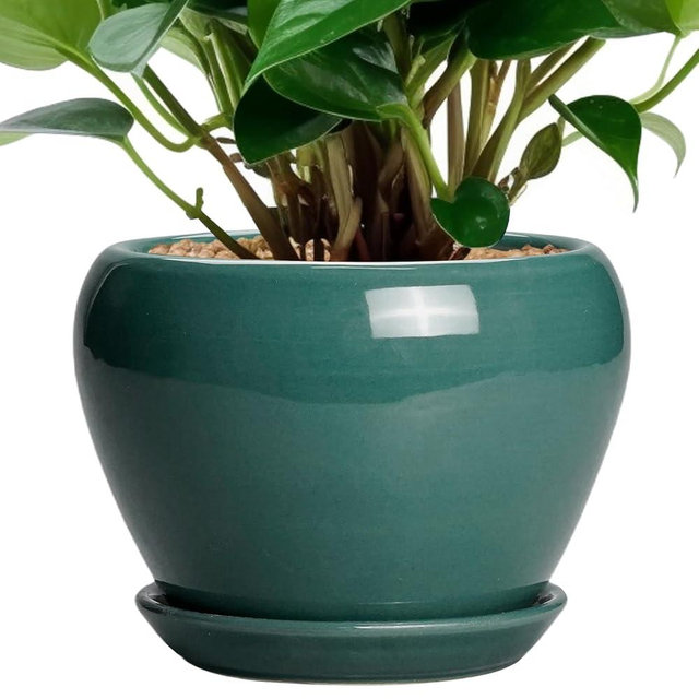 Ceramicfor Indoor Plant Pot 6 Inch - Ceramic Planter with Drainage Hole and Saucer, Modern Decorative Indoor Planter for Herb Succulent Plants, Garden Home Decor, Gifts for Plant Lovers, Green