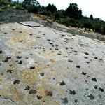 Dinosaur Ridge Main Visitor Center