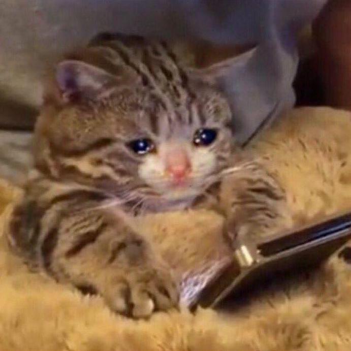 Sadly, we broke up this year... (2019)
