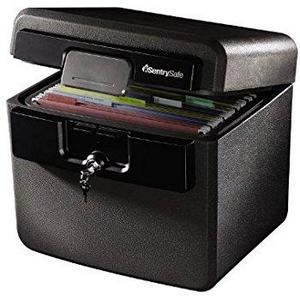 SentrySafe Fire and Water Safe, Fire Resistant File Safe, 0.65 Cubic Feet, HD4100