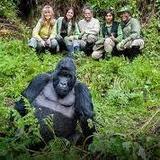 Gorilla Trekking, Rwanda Cultural Tours, Wildlife Safaris