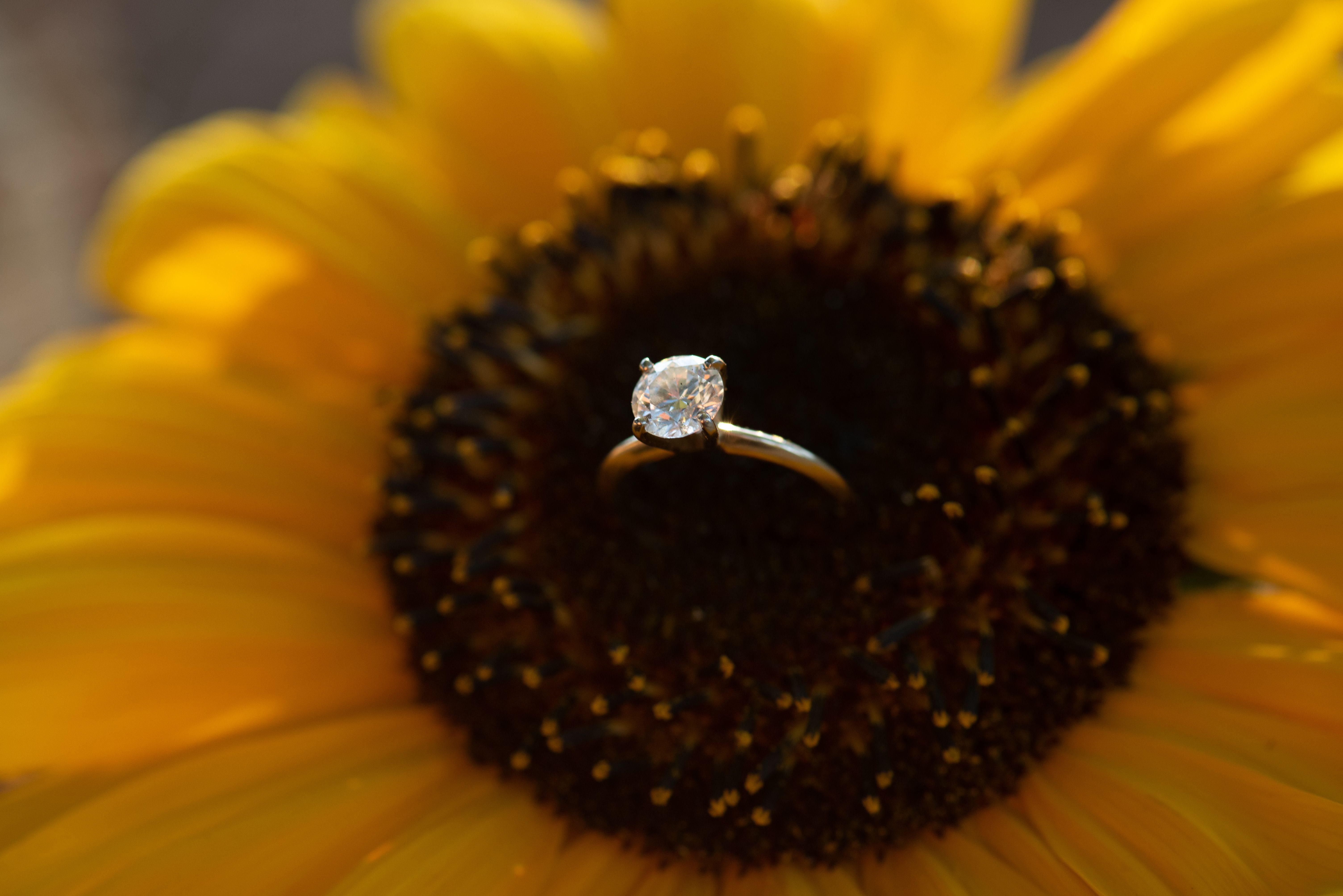 c4c26ede-e8ef-4925-a1f5-295bc3001042