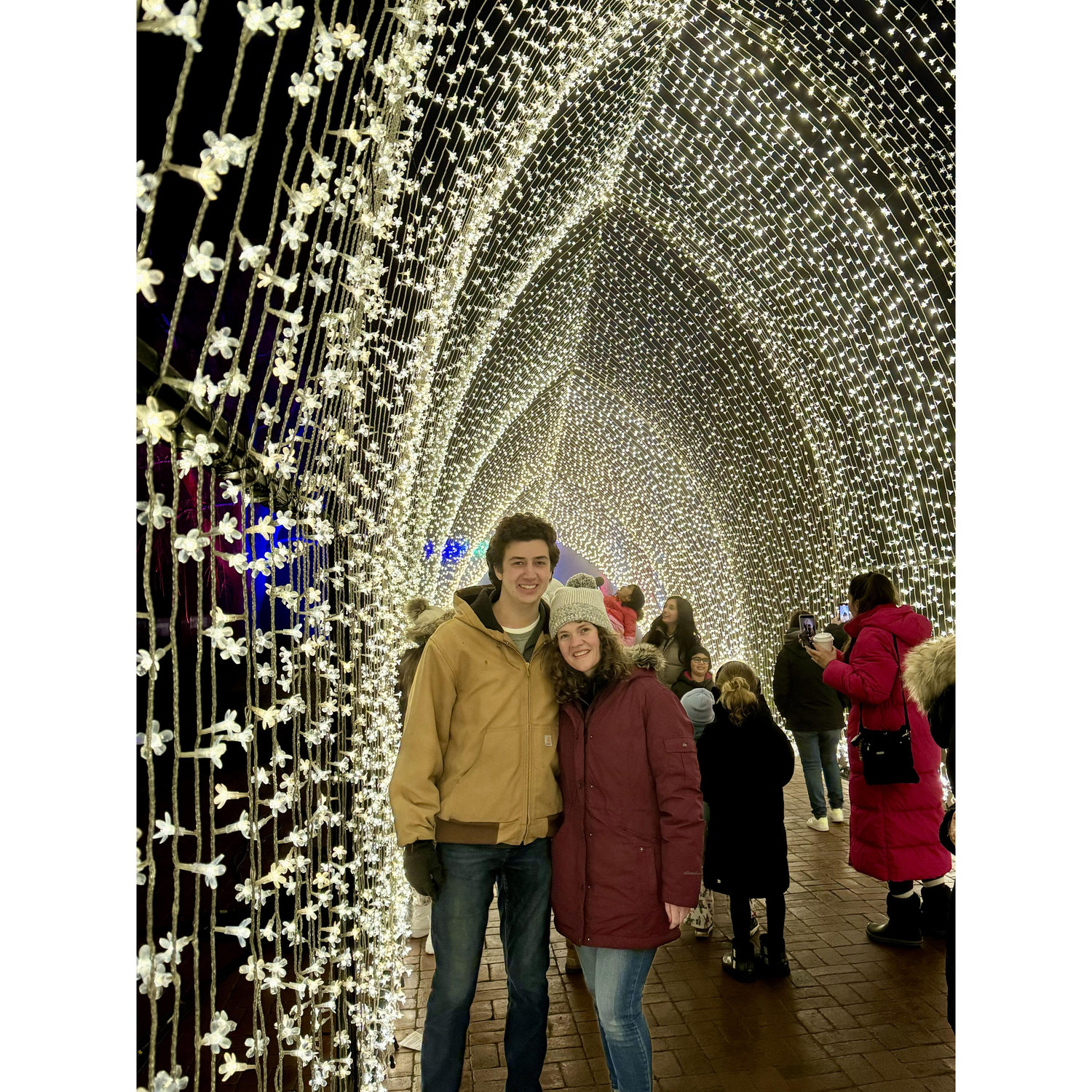 Christmas lights!