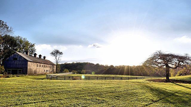 The Wedding Website of Kaitlyn Bredice and Nick Balogh