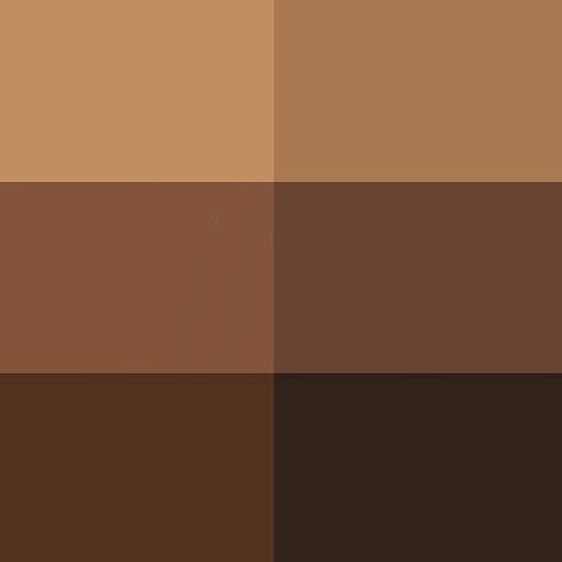 Shades Of Brown