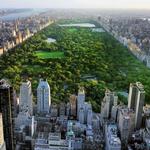 Central Park