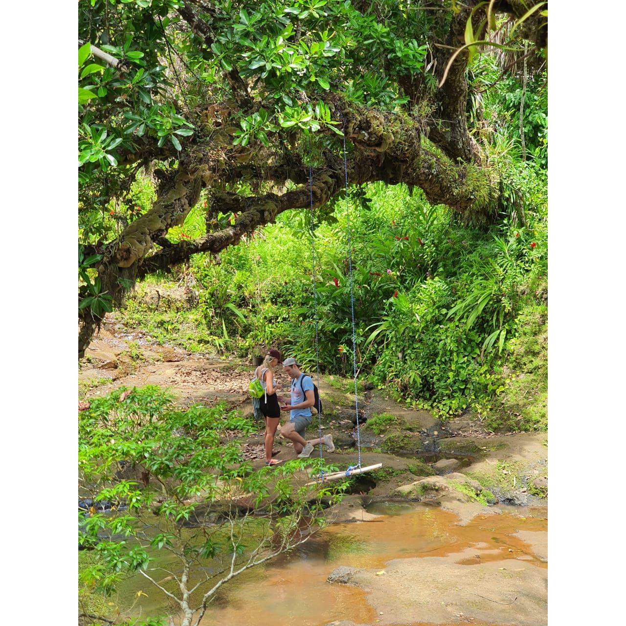:) 
March 26, 2022 
Tingao Falls, Guam 
(or, affectionately, Talladega Falls)