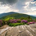 Boogerman Trail