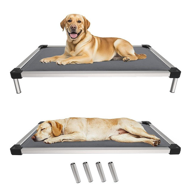 FXW TitanNest Chew-Proof Elevated Dog Bed, Padded Cot for Indoor/Camping/Outdoor Use, Durable & Washable Pet Bed for Extra-Large Dogs, 56.0" L x 31.0" W x 7.3" H, Grey