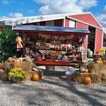 Dinges Fall Harvest