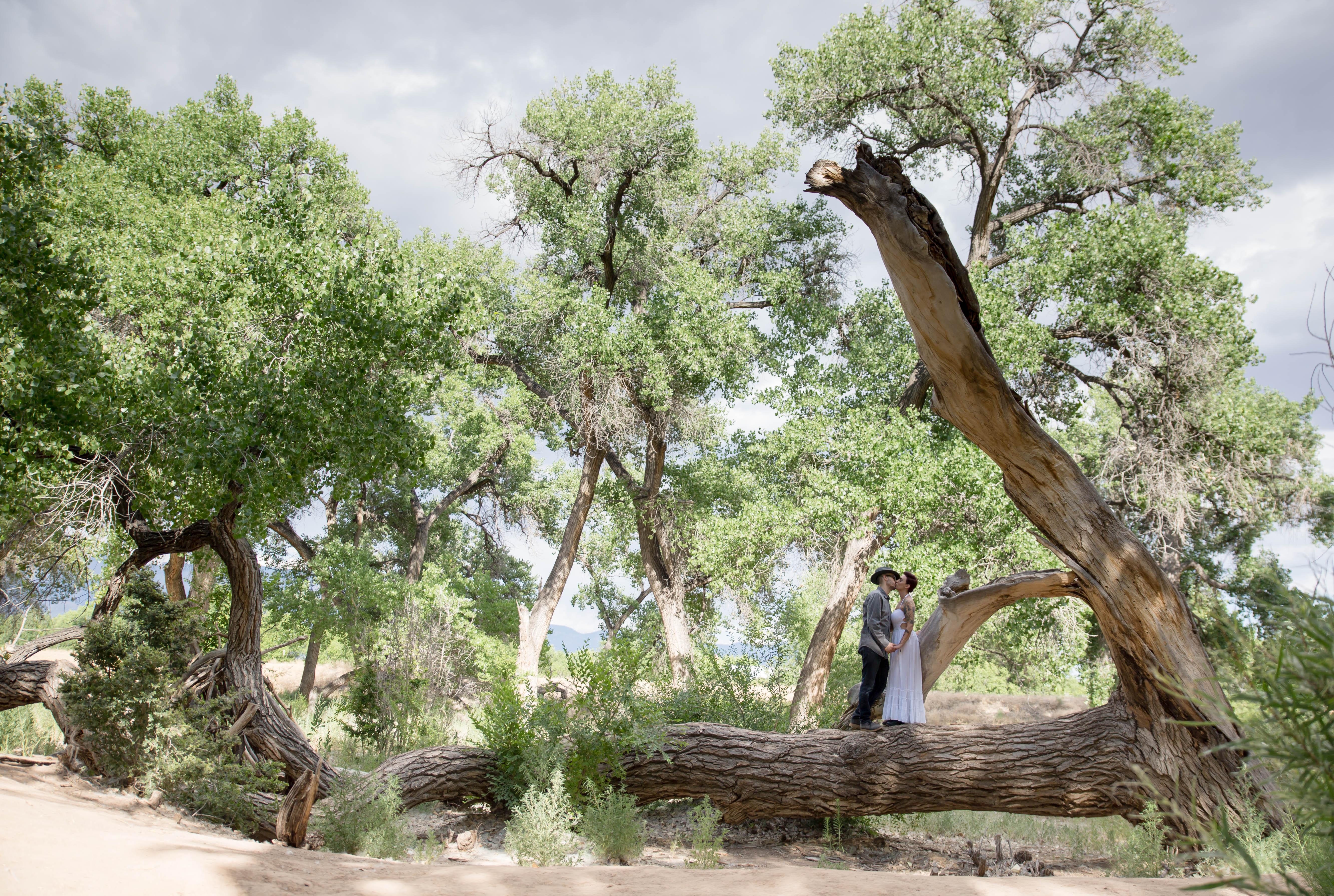 The Wedding Website of Marisa Garcia and Tim Stofan