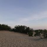 Jockey's Ridge State Park
