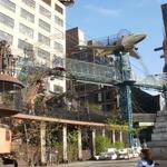 The City Museum