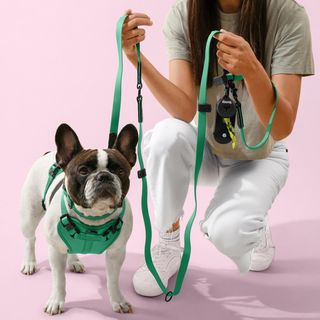 Luna Large 6-in-1 Waterproof Hands-Free Leash & Collar