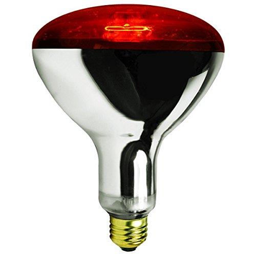 250 WATT RED BROODER HEAT LAMP BULB CHICKEN COOP HEN HOUSE BABY CHICK 250w