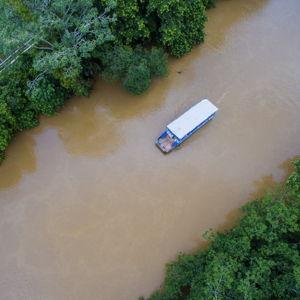 Caño Negro Boat Safari