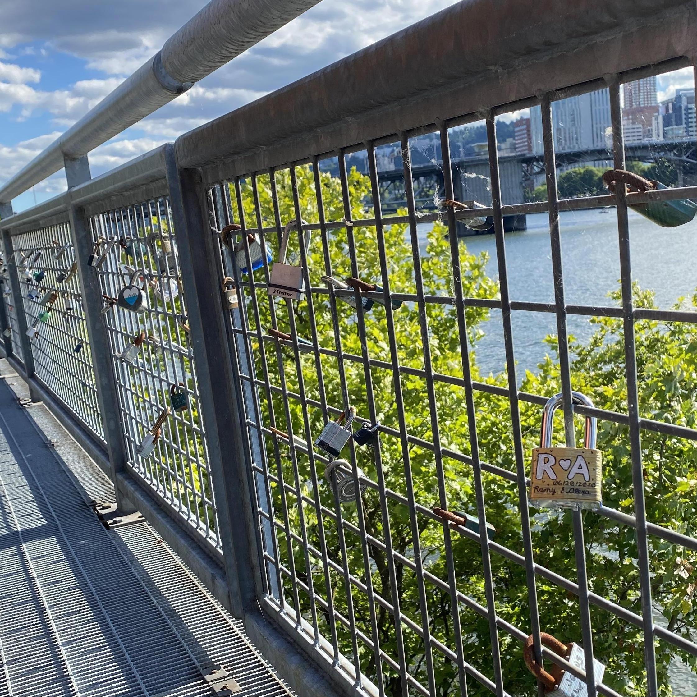 When Ramy had proposed, he produced a lock. I had wanted to put a lock on this fence along the waterfront and throw the key in the river, like how they do in Paris. (Ours is pictured on the right.)