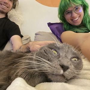 Pet Hotel For Our Honeymoon