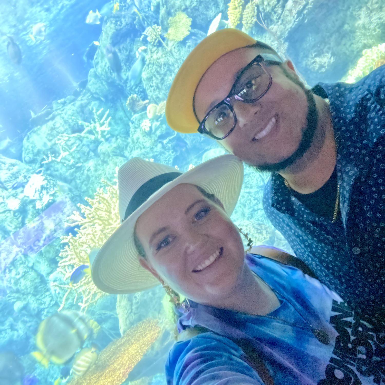 Aquarium Date 2024