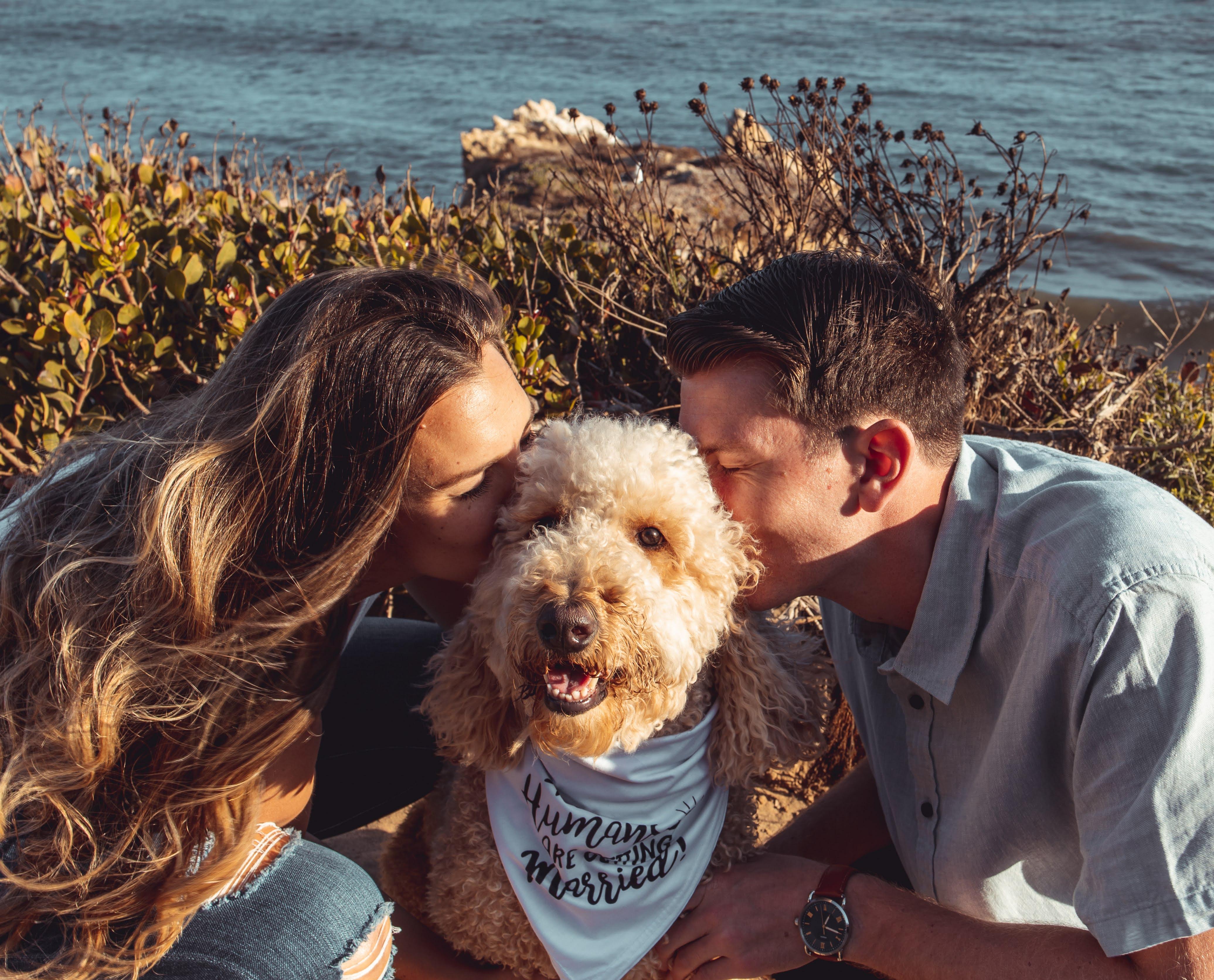 The Wedding Website of Kristen McLaughlin and Matt Bertsch