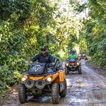 Carabalí Rainforest Park